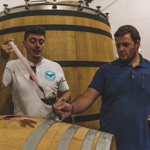 Visita a bodega de Rioja más cata de vino